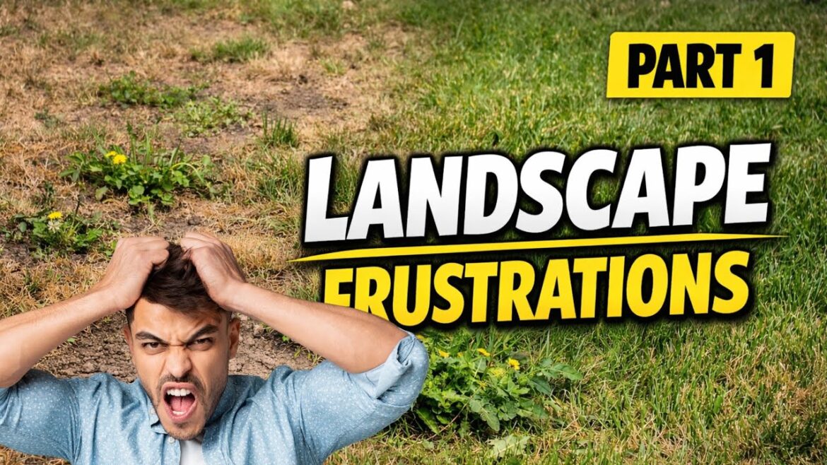 Top 5 Landscape Frustrations – Part 1 of 3 | Lawns