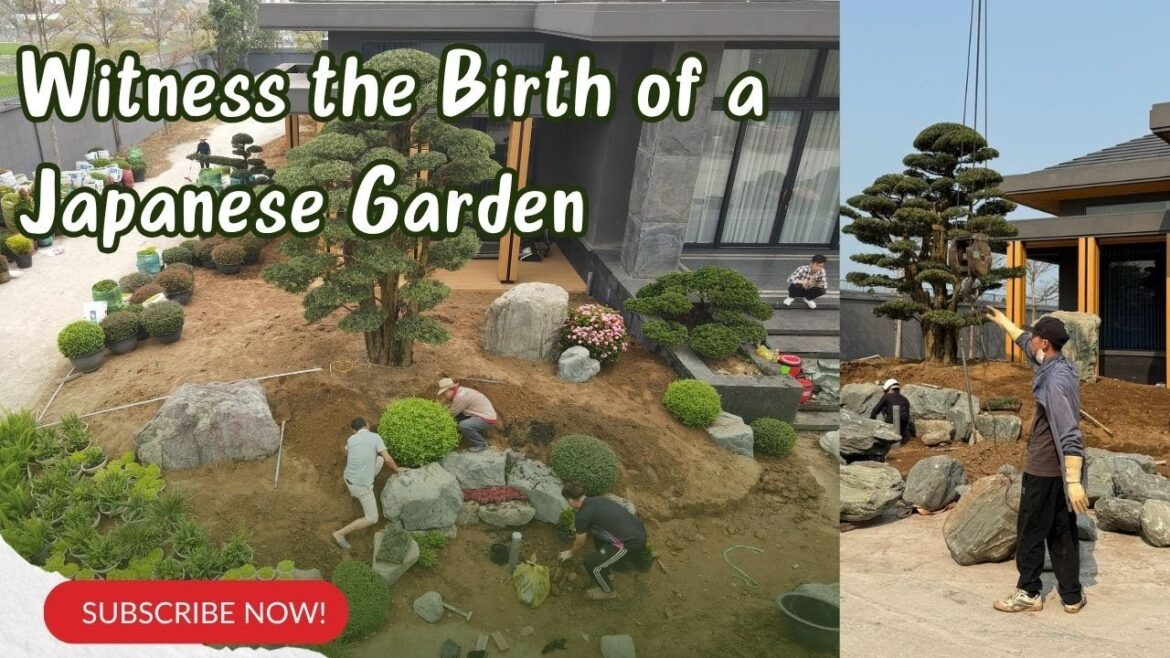 This Is How a Japanese Garden Is Born | Vietnam Garden Design This Is How a Japanese Garden Is Born | Vietnam Garden Design