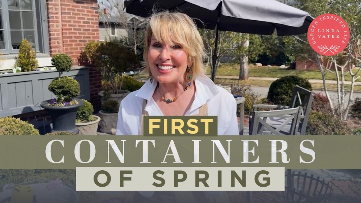 How To Plant OVER THE TOP Container Gardens | Linda Vater 🌿 How To Plant OVER THE TOP Container Gardens | Linda Vater 🌿