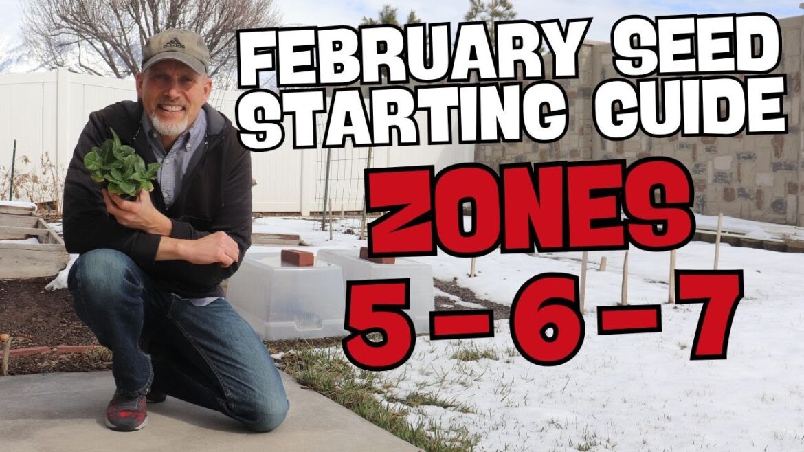 Seedlings to Start in February – Zones 5-7 Seedlings to Start in February - Zones 5-7