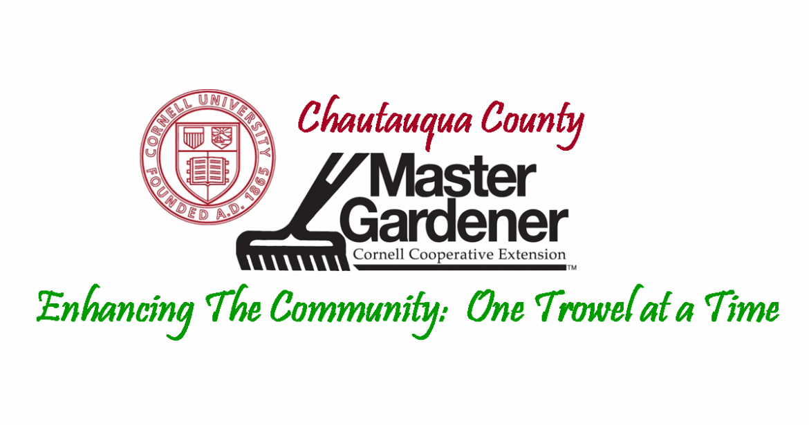 Chautauqua Master Gardeners To Host Speaker On Native Lawns Feb. 18