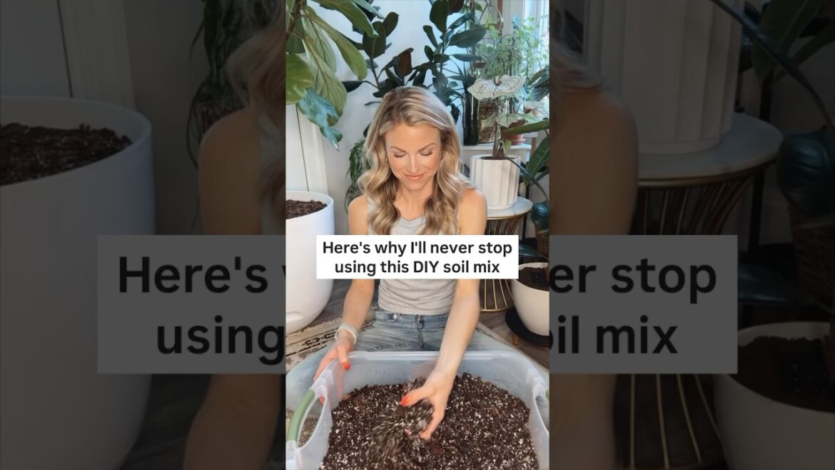 Let’s make a fresh batch of my DIY houseplant soil mix! 🪴✨💚 #plants
