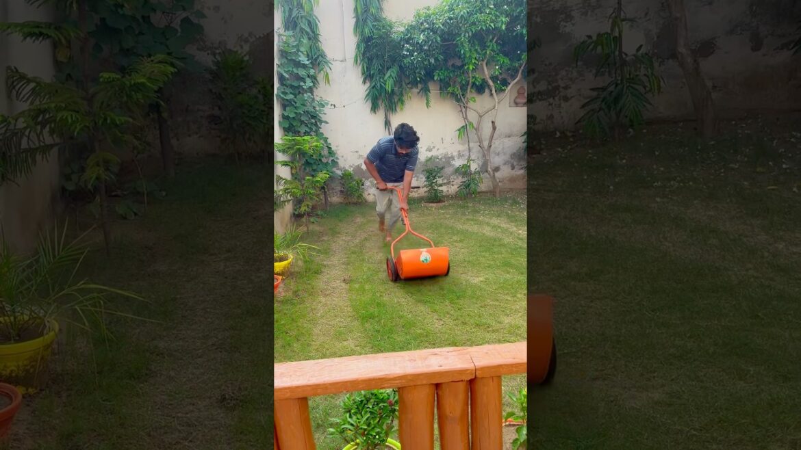 Home Garden Grass Cutting ✂️ !! #lawn #gardeningtips #makeover #farming