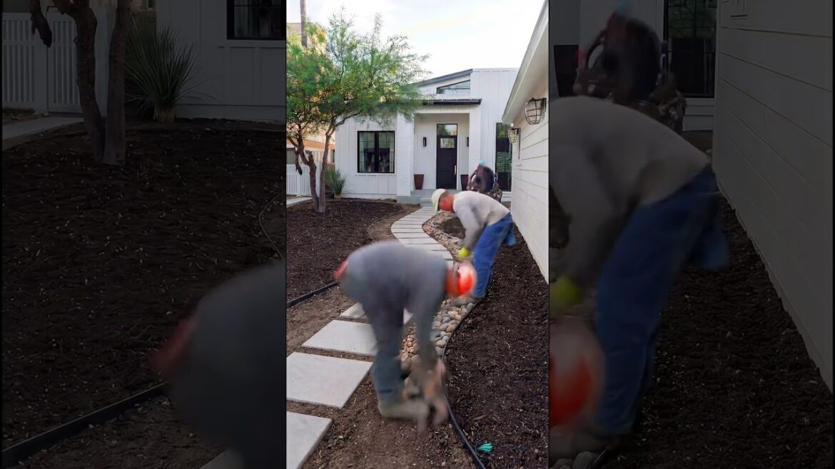 Eurus Studio: Restoring a Forgotten Garden | Timelapse Eurus Studio: Restoring a Forgotten Garden | Timelapse