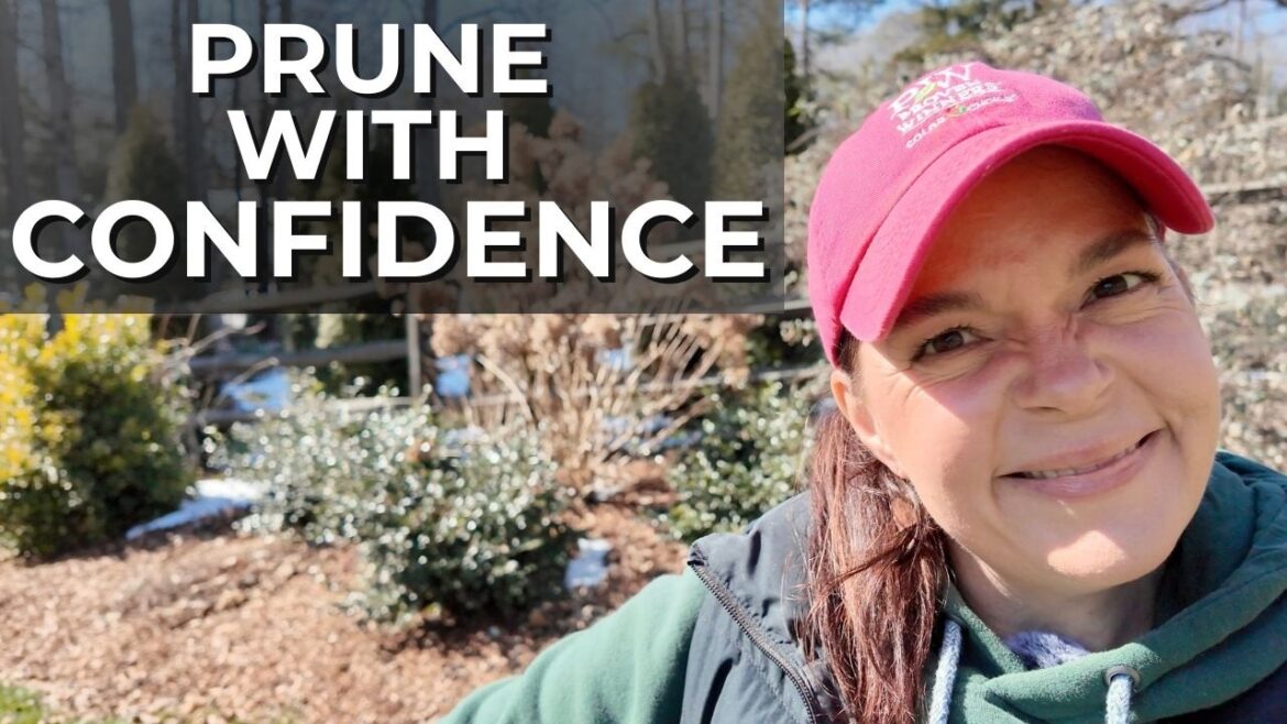 Late Winter Pruning Guide: Clematis, Perennial Grasses & Tree-Form Hydrangeas