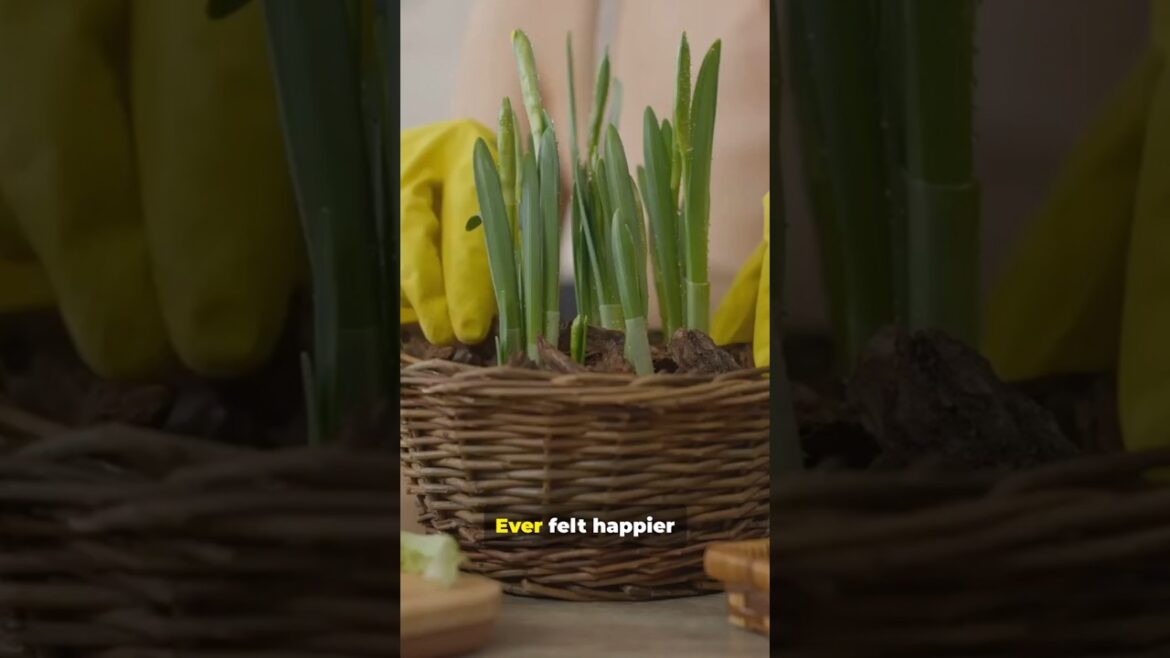 Grow Food in Tiny Spaces (Even Without a Yard) #gardening #diy