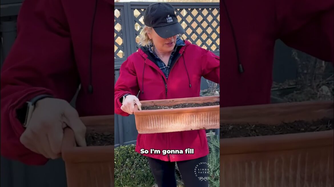 Planting Seeds  Quick Germination Outdoors Guide #gardening #gardendesign #garden