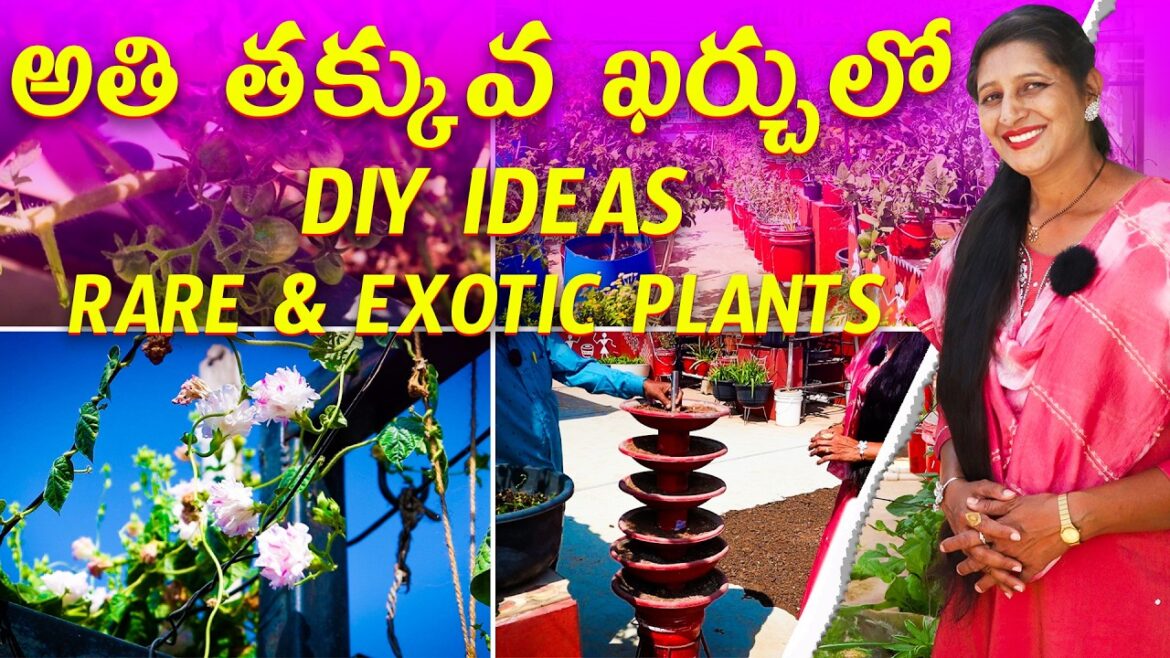 Gardening with What You Have: Low-Cost DIY Ideas for Your Terrace | Budget terrace garden