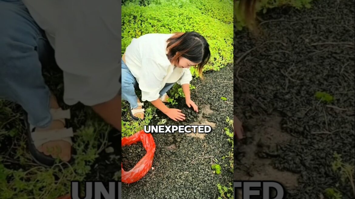 You’ve Been Walking on This Ancient Superfood 🤯