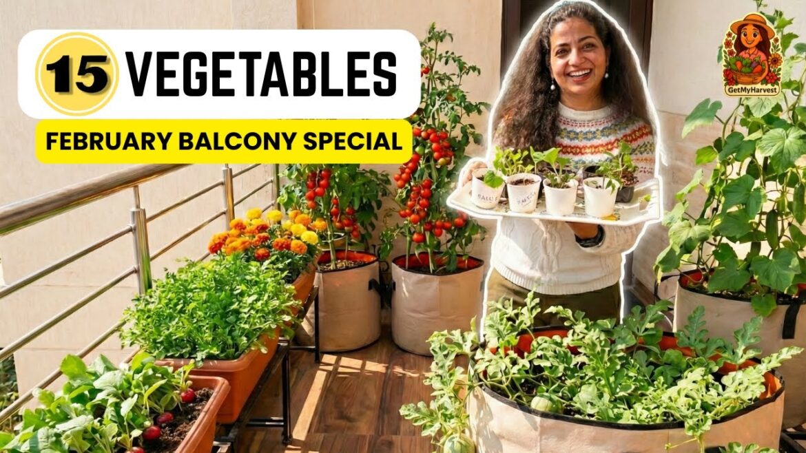 Grow 15 Vegetables in February! Must-Try Balcony List 🤩 Grow 15 Vegetables in February! Must-Try Balcony List 🤩