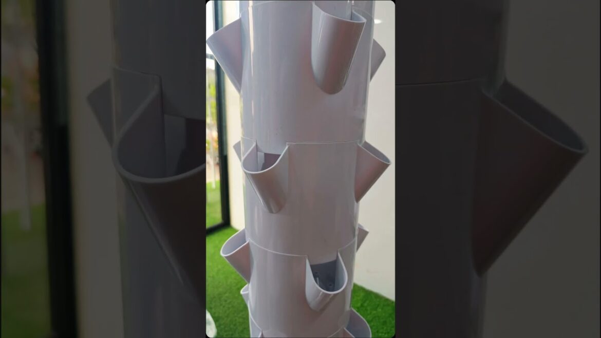 ๐ฅ๐ฒ๐ฎ๐ฑ๐ ๐๐ผ ๐ด๐ฟ๐ผ๐? ๐ฆ๐ต ๐ถ๐ฑ ๐บ๐ฐ๐ถ๐ณ ๐ฐ๐ธ๐ฏ ๐ท๐ฆ๐ณ๐ต๐ช๐ค๐ข๐ญ ๐จ๐ข๐ณ๐ฅ๐ฆ๐ฏ ๐ณ๐ช๐จ๐ฉ๐ต ๐ข๐ต ๐บ๐ฐ๐ถ๐ณ ๐ฅ๐ฐ๐ฐ๐ณ๐ด๐ต๐ฆ๐ฑโโ๐ฃ๐ค๐ฌ ๐จ๐ฉ๐๐ก๐ก ๐ค๐ฃ ๐จ๐๐ก๐! ๐ฅ๐ฒ๐ฎ๐ฑ๐ ๐๐ผ ๐ด๐ฟ๐ผ๐? ๐ฆ๐ต ๐ถ๐ฑ ๐บ๐ฐ๐ถ๐ณ ๐ฐ๐ธ๐ฏ ๐ท๐ฆ๐ณ๐ต๐ช๐ค๐ข๐ญ ๐จ๐ข๐ณ๐ฅ๐ฆ๐ฏ ๐ณ๐ช๐จ๐ฉ๐ต ๐ข๐ต ๐บ๐ฐ๐ถ๐ณ ๐ฅ๐ฐ๐ฐ๐ณ๐ด๐ต๐ฆ๐ฑโโ๐ฃ๐ค๐ฌ ๐จ๐ฉ๐๐ก๐ก ๐ค๐ฃ ๐จ๐๐ก๐!