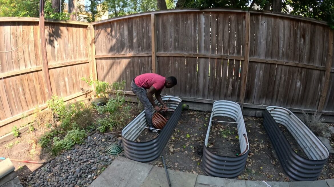 Building a Backyard Garden