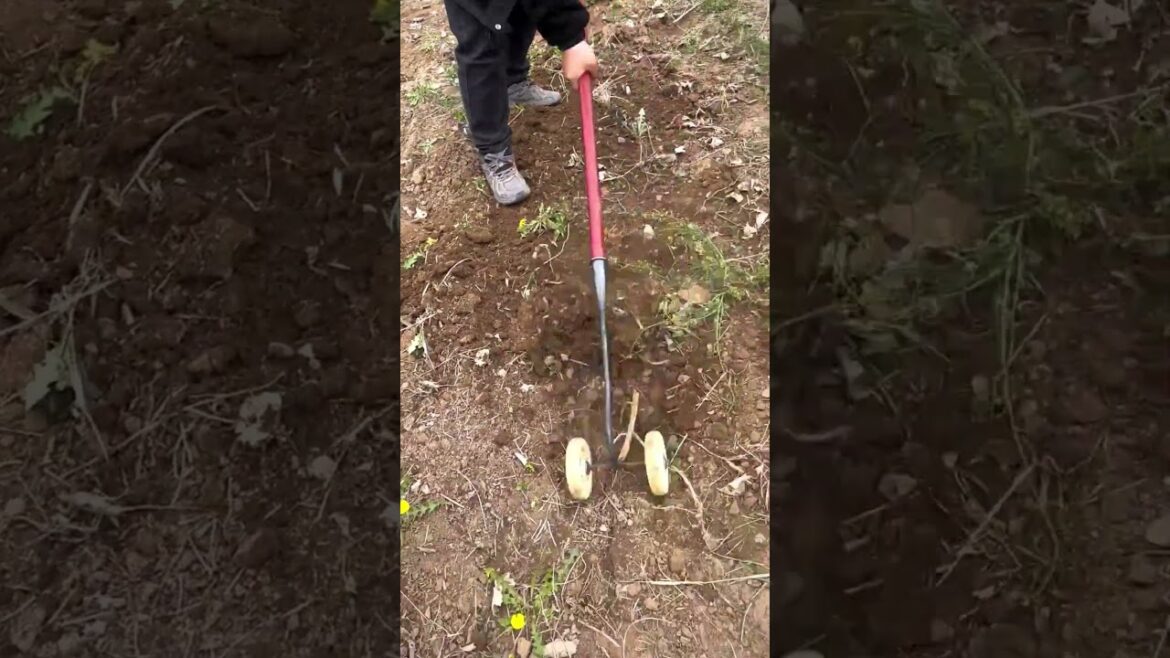 This Gardening Tool is a Game Changer! 🌱✨