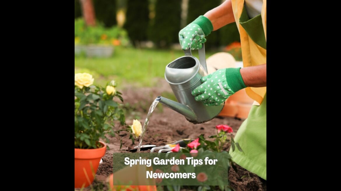 πΏ Spring Garden Tips for Newcomers πΏ Spring Garden Tips for Newcomers