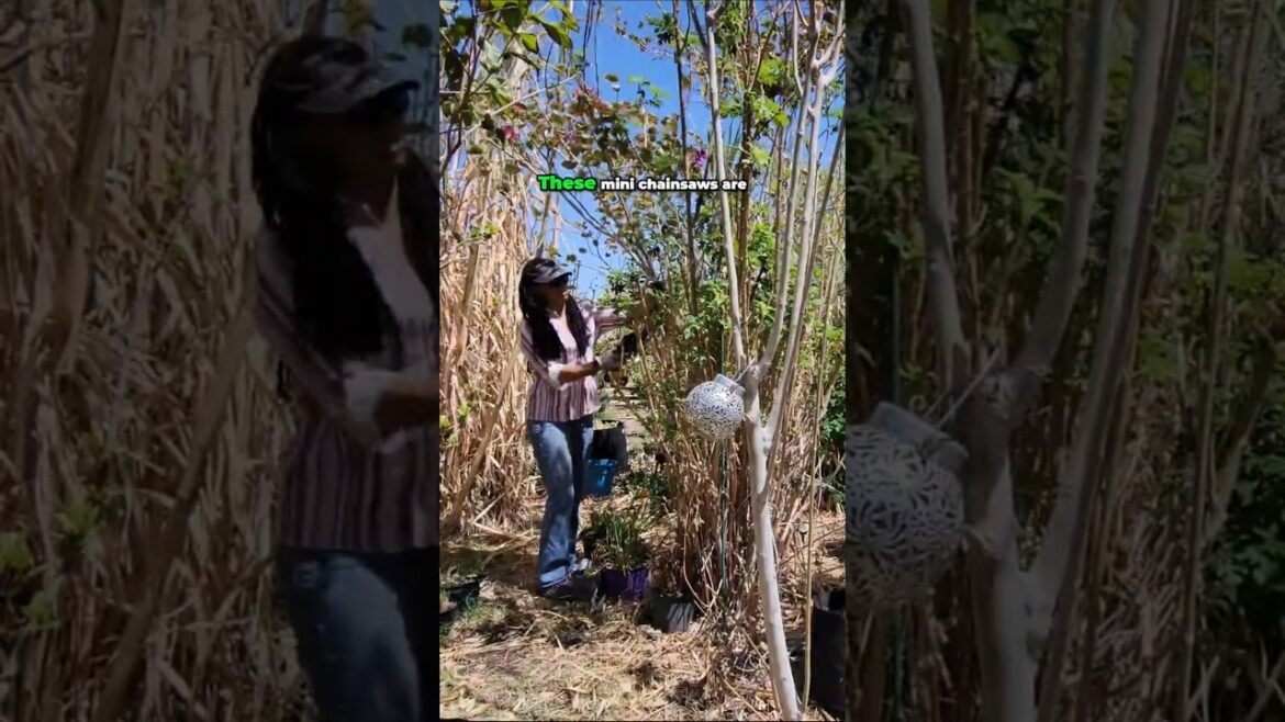 Tiny Powerful Mini Chainsaw Upgrade for Quick Garden Cleanup #backyardgarden #tools