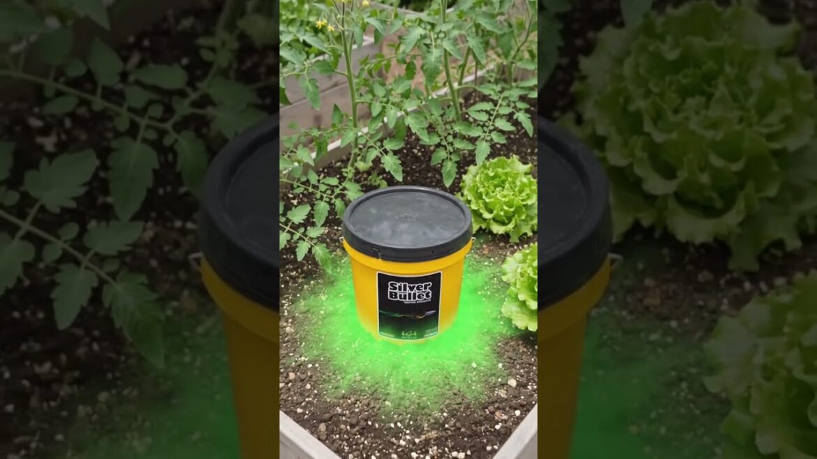 Silver Bullet in Action – System Support, Not Stress