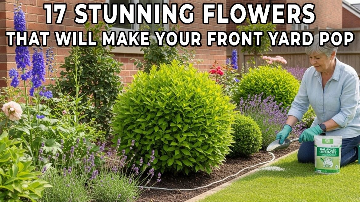 17 Stunning Flowers That Will Make Your Front Yard Pop