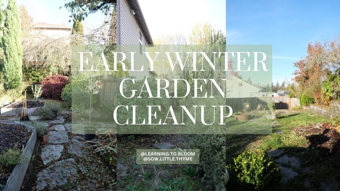 Early Winter Garden Cleanup | Garden plans | Feeding the Birds