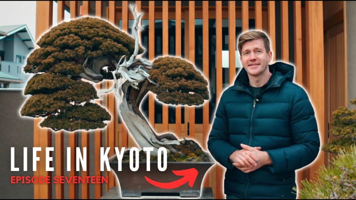 The First Walkthrough of Eisei-en Kyoto Bonsai Garden The First Walkthrough of Eisei-en Kyoto Bonsai Garden