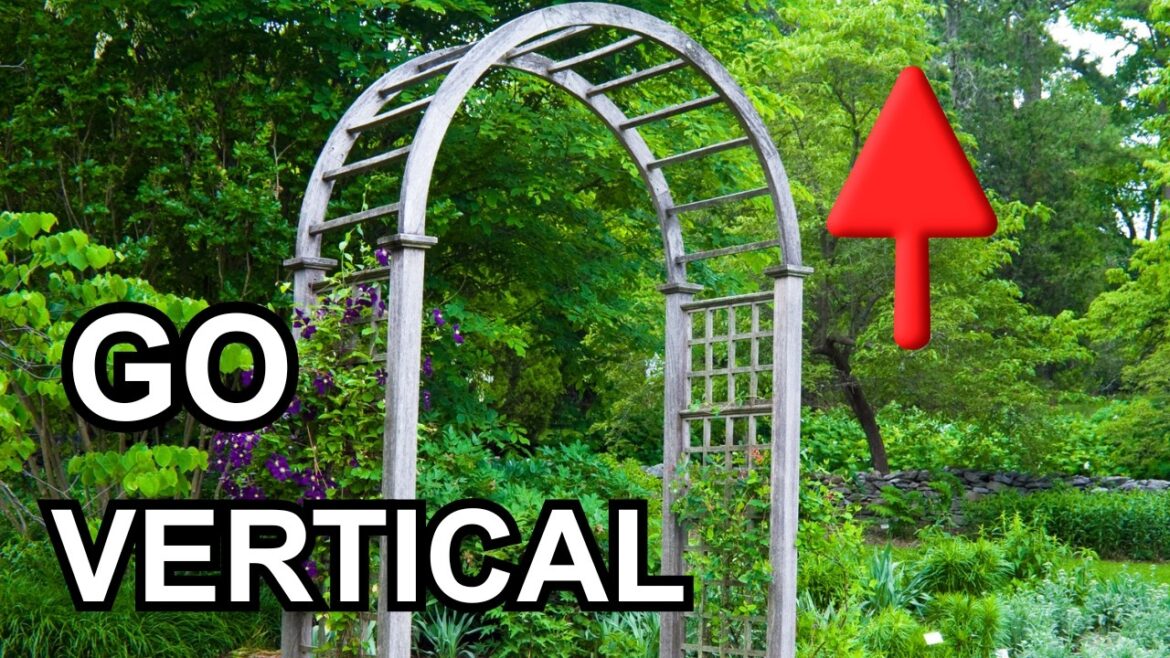 Your Small Garden Doesn't Have to Stay Small