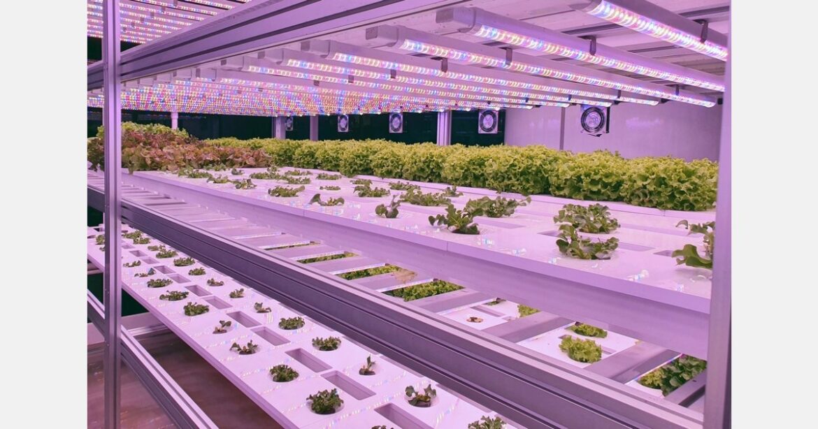 Edible Garden CEO Jim Kras named to NJBIZ Power 100 for second consecutive year