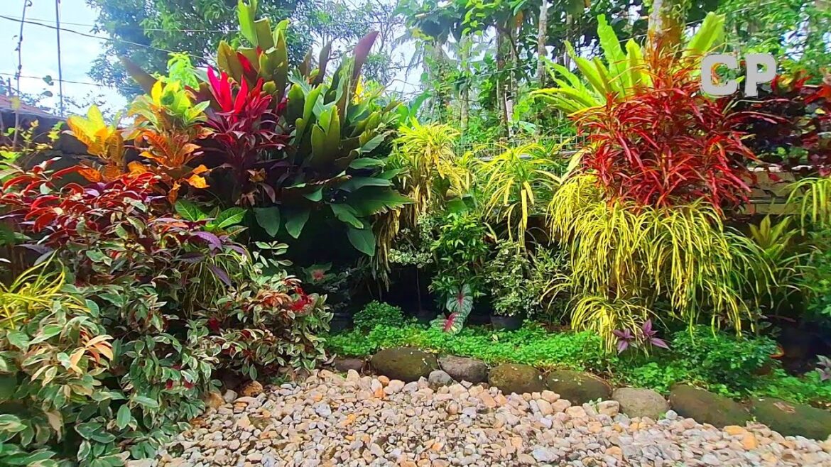 RESTORING MY ABANDONED FRONT YARD GARDEN RESTORING MY ABANDONED FRONT YARD GARDEN