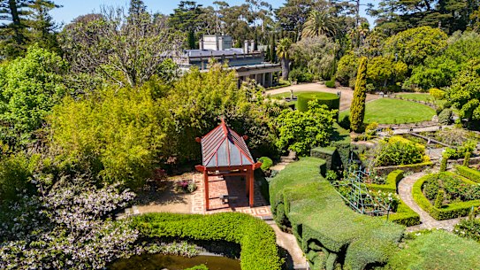 Golden bamboo abuts a pavilion in Beleura’s Asian garden