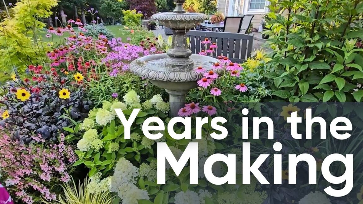 What Actually Works in a Summer Garden