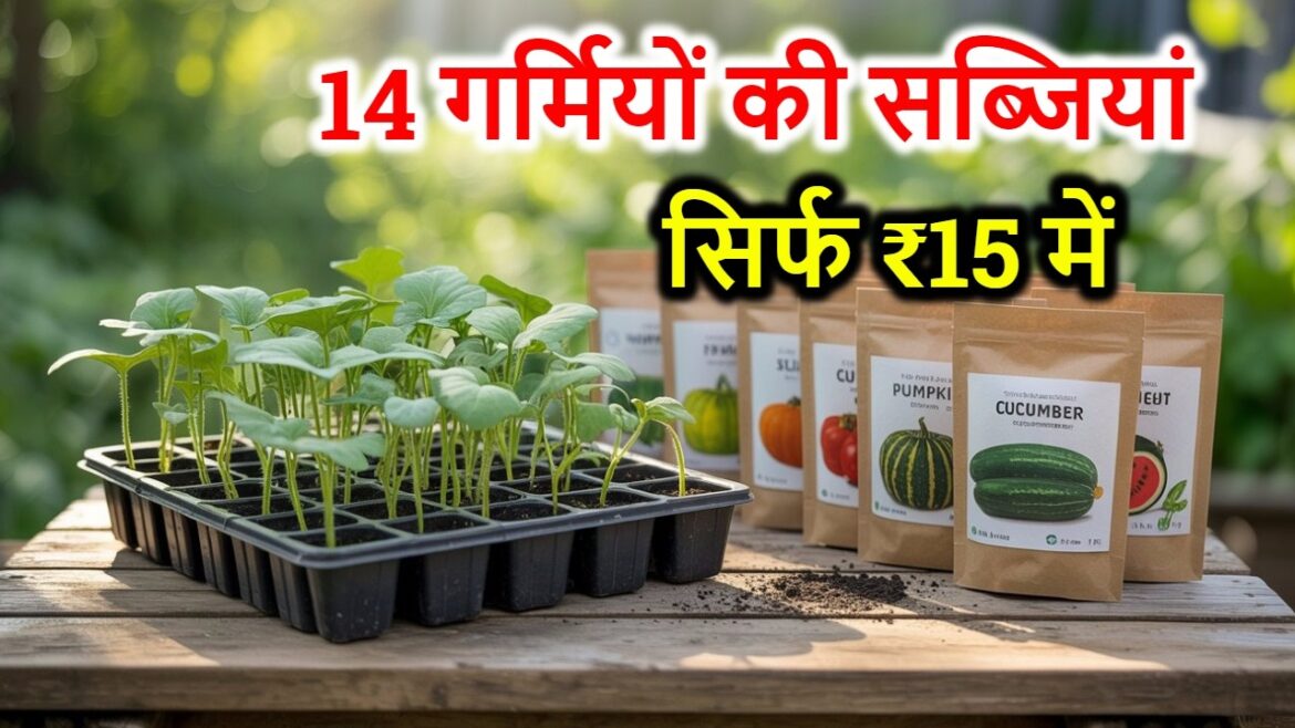 सिर्फ ₹15 में 14 गर्मियों की सब्जियां 🌸  14 Summer Vegetable  Seeds in February March