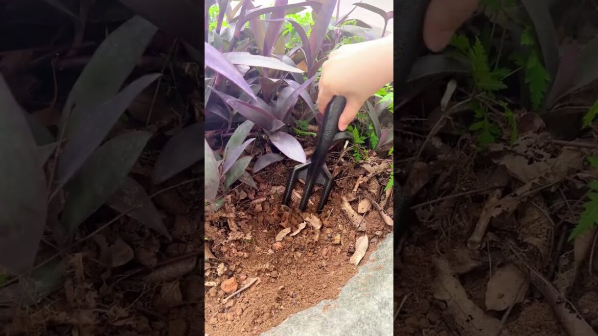 Struggling in the Garden? These 3 Tools Will Save You!🌿#GardenFix #PlantCareTools#GardeningMadeEasy