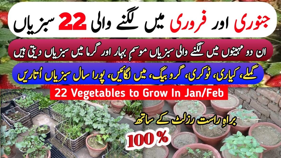 January And February Vegetables to Grow in For Spring Season 2025 | Jan & Feb Grow Vegetables