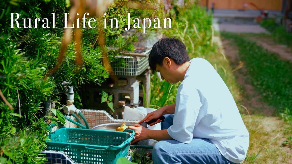 Real Life in Rural Japan | Waking Up Early to Make Cold Rice and Local Dishes