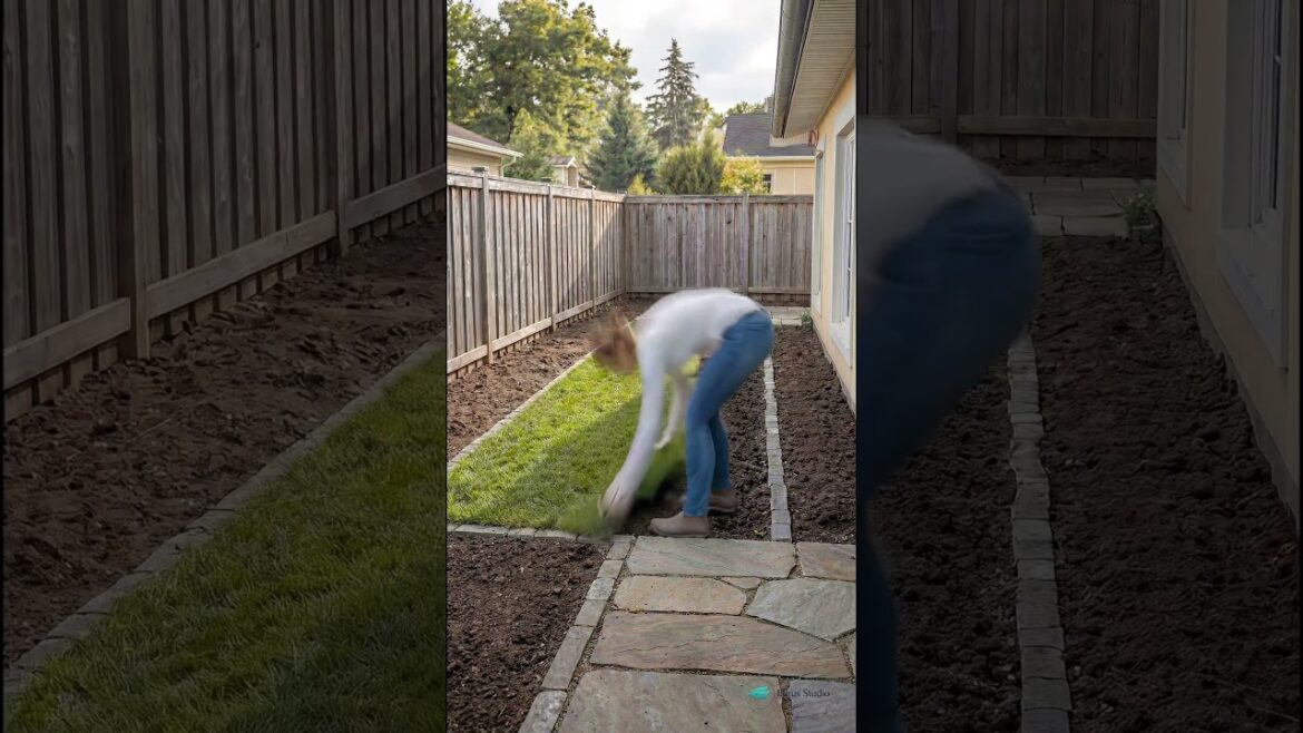 Eurus Studio: Finding Stillness in a Small Garden  | Timelapse