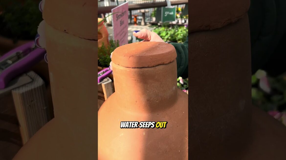 Raised Bed Watering Hack You Need to Know