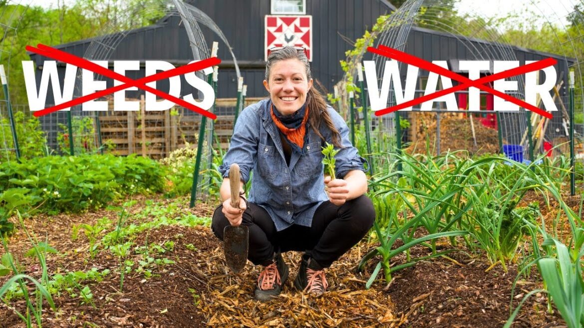 Start a Lazy Garden From Scratch | NEVER Weed/Water Again!