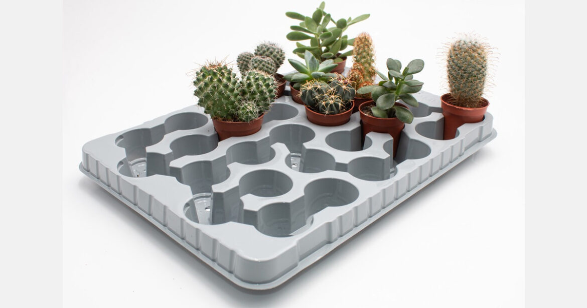 ILIP brings HortiPack innovations in R-PET to MyPlant & Garden 2026