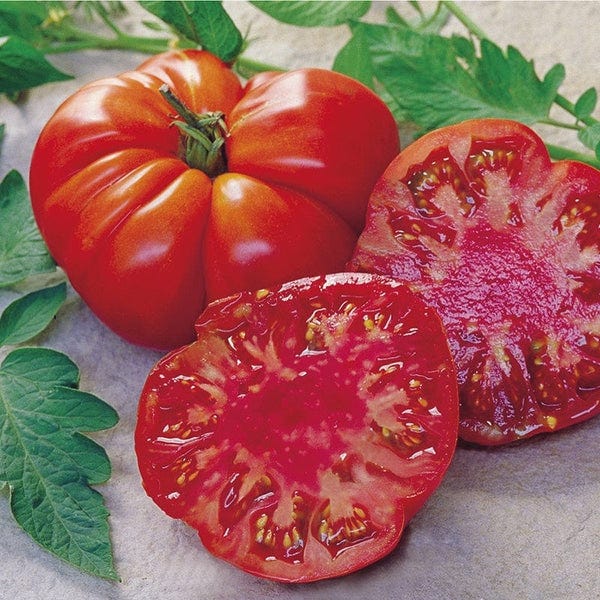 RHS Tomato Tomande F1 seeds