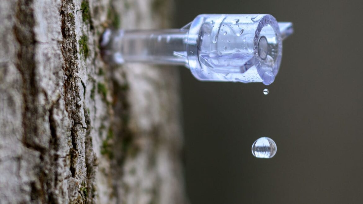 February garden checklist February garden checklist