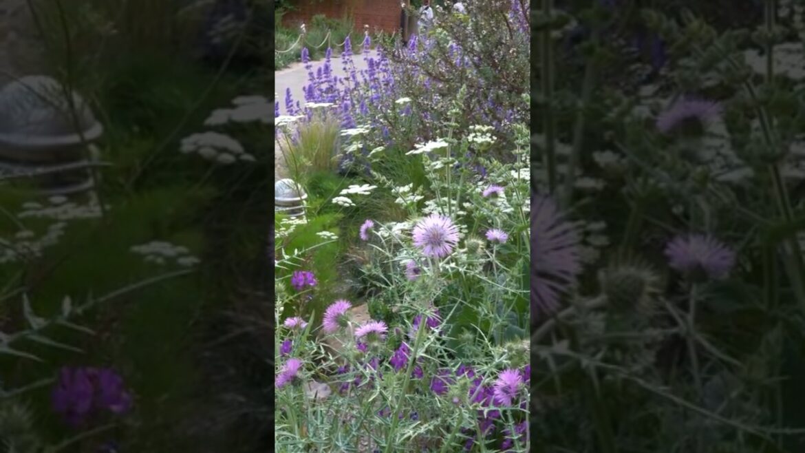 Gorgeous rubble garden tips - re-use and re-think your hard landscaping...