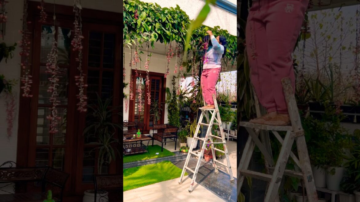 #gardening #plants #garden #home #nature #homegardening #balconygarden #gardendesign