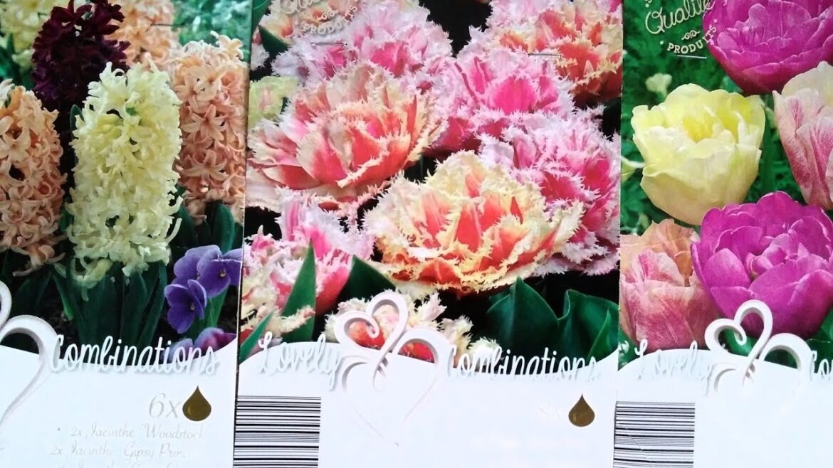 Container Gardening: How to Grow Bulbs in Pots Container Gardening: How to Grow Bulbs in Pots