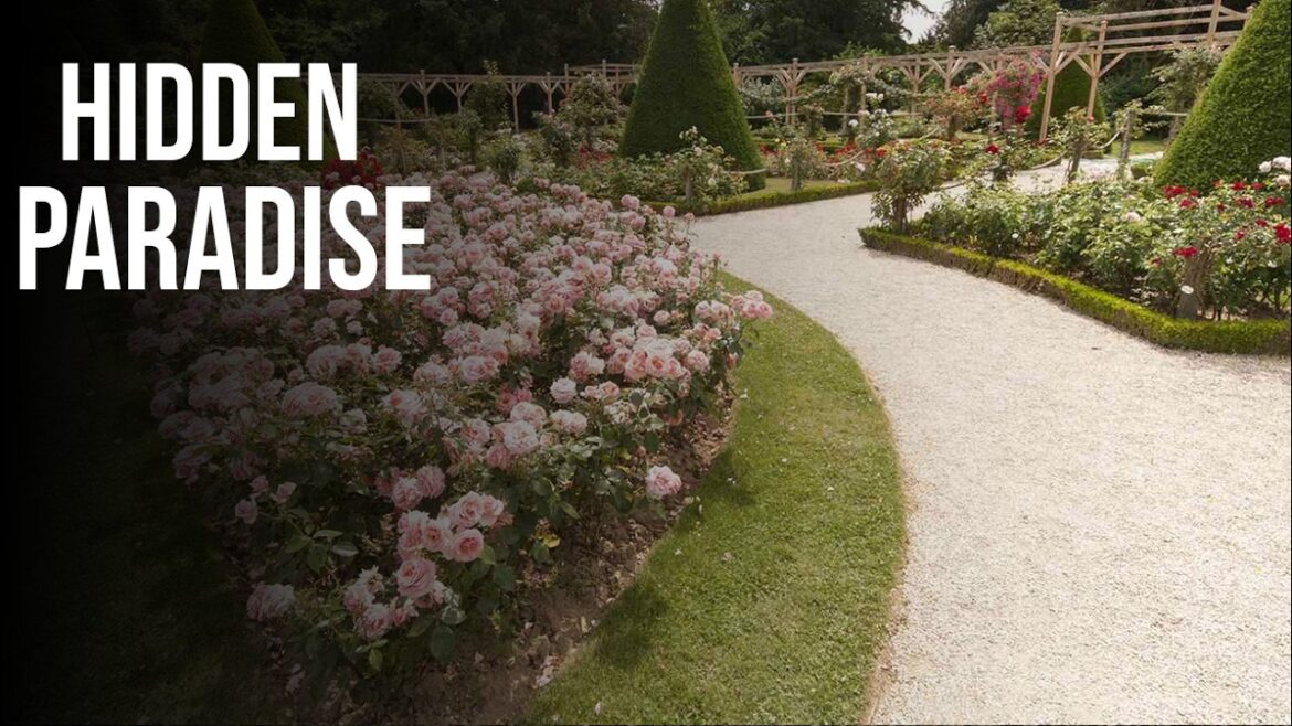 10 Stunning Garden Design Ideas That Will Transform Your Backyard