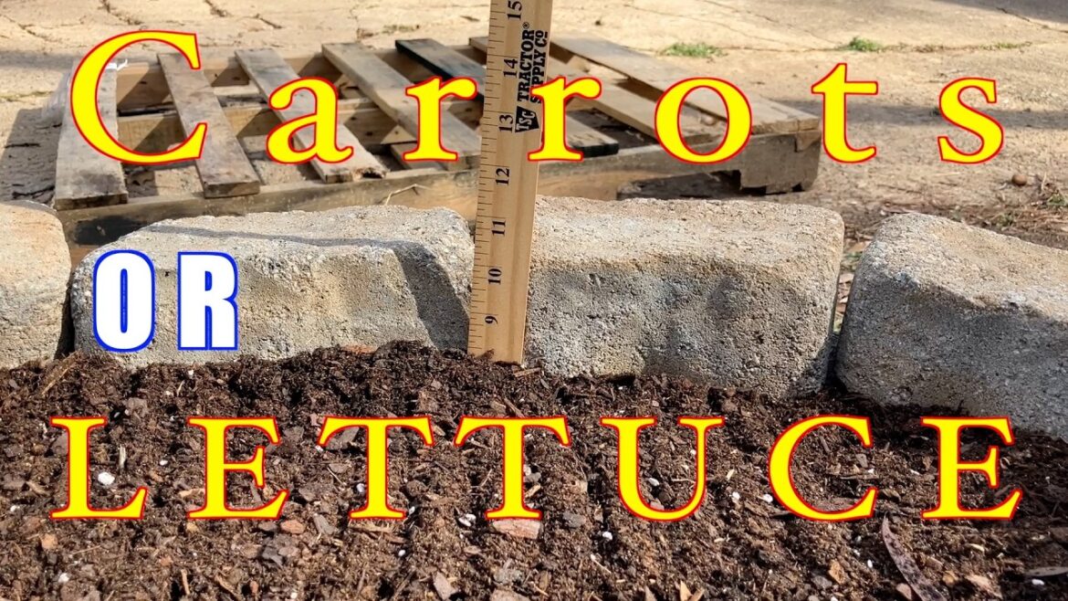 What Can You Plant in an 8 Inch Raised Bed?