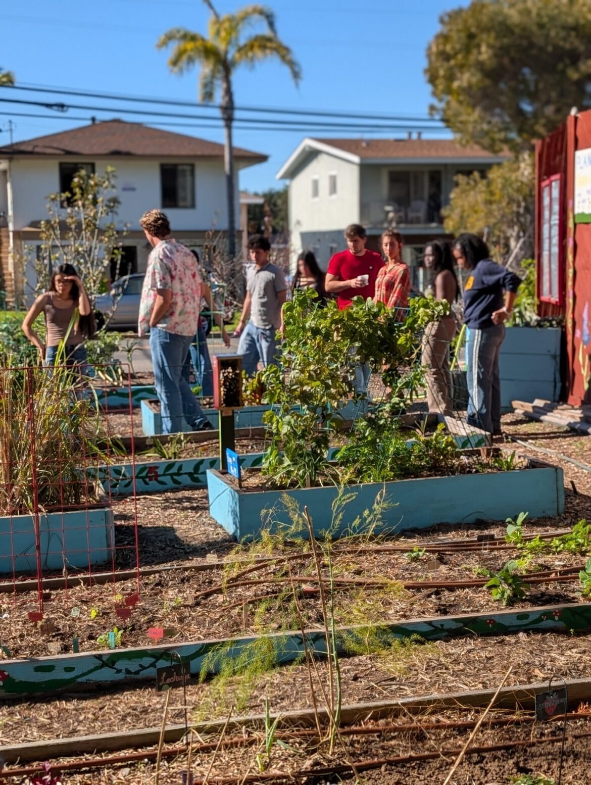I.V. Green aims to bring food security to the community I.V. Green aims to bring food security to the community