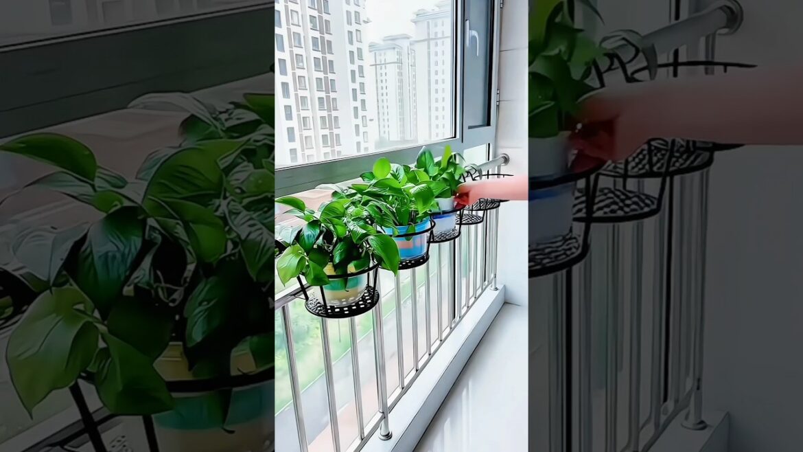 ₹100 Balcony Plant Hack 🌿 #BalconyGardening #PlantStand #GardeningHack #HomeDecor #shorts
