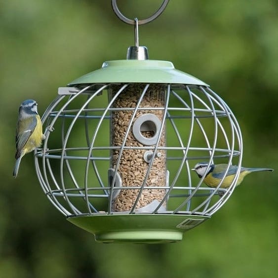 The Nuttery Helix Squirrel Proof Seed Feeder in Celadon Green