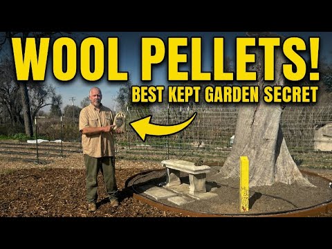 Container Gardening Fails? Here’s What’s Wrong Container Gardening Fails? Here's What's Wrong