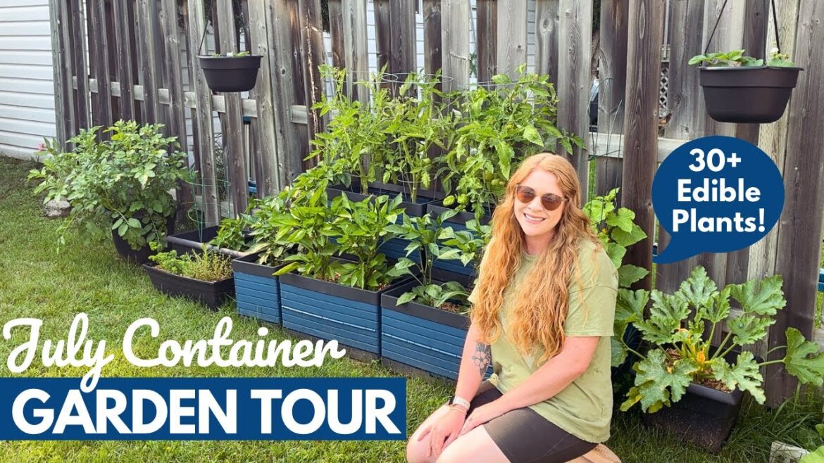 July Container Garden Tour | Full Garden Update, Wins + Misses!