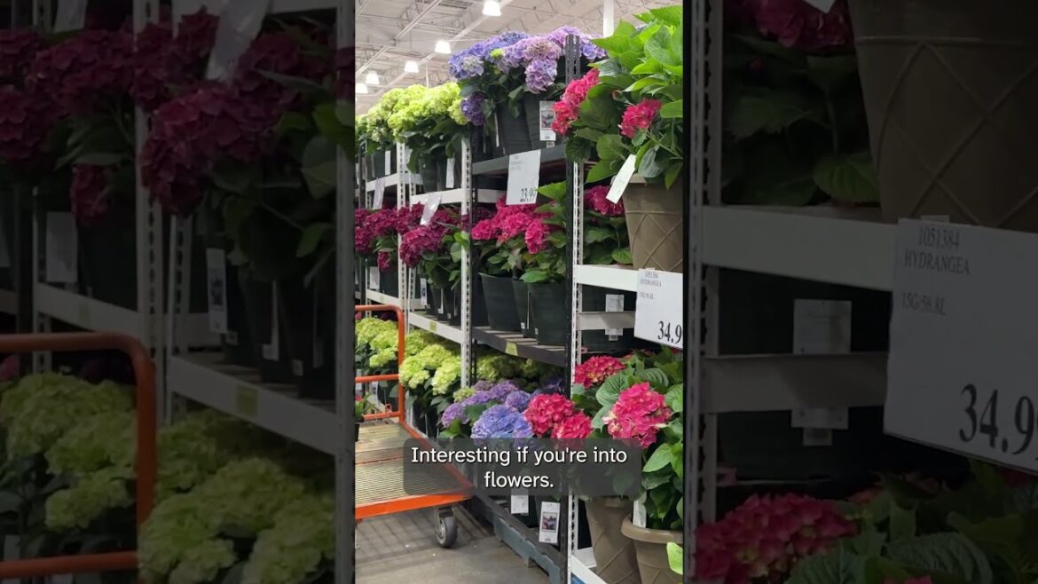 Costco Gardening Supplies – May 2025 Costco Gardening Supplies - May 2025