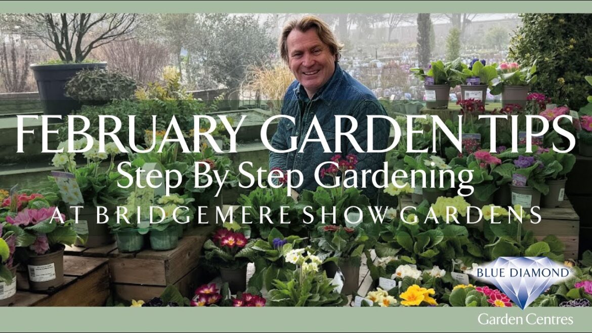 February Garden Tips | Step-by-Step Gardening at Blue Diamond's Bridgemere Show Gardens | Episode 8